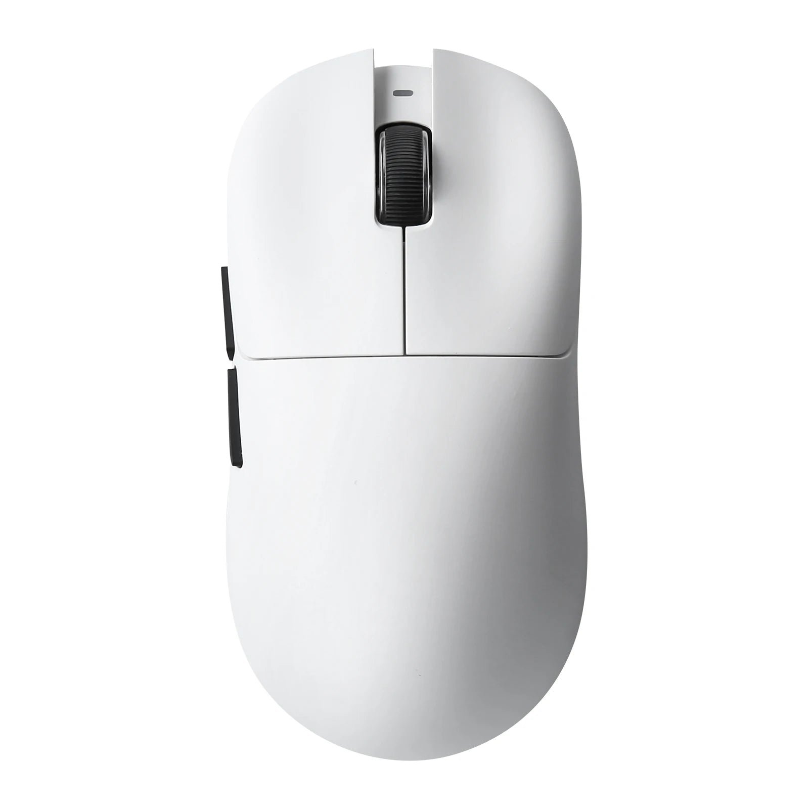 Mice